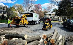 Reliable Fowler, CA Tree Removal and Landscaping Services Solutions